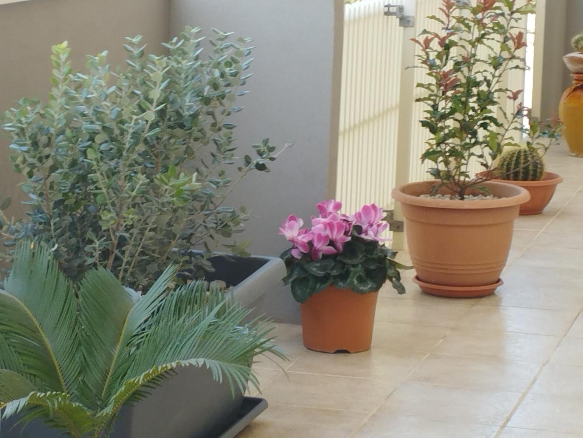 Da Luigi Locazioni Brevi Turistiche Bed & Breakfast โมโนโปลี ห้อง รูปภาพ