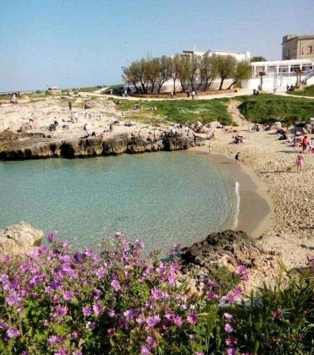 Da Luigi Locazioni Brevi Turistiche Bed & Breakfast โมโนโปลี ภายนอก รูปภาพ
